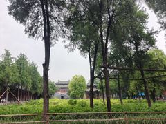 -洛阳白马寺