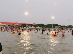 -碧海金沙