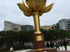 -金莲花广场