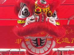 -越秀西湖花市(广州城市广场花卉店)