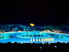 -鼎盛王朝康熙大典实景演出