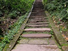 -青城山