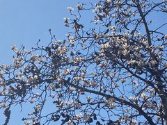 -碑林公园