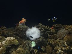 -福州罗源湾海洋世界旅游区