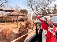 -郑州银基国际旅游度假区