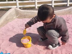 -九龙湖公园
