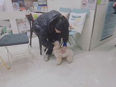 -瑞鹏宠物医院·微创内窥镜·骨外科·牙科(翠竹分院)