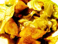 莲白炒馕饼-天山醉美辣子鸡(文艺路店)