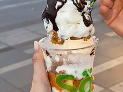 -Salud撒露欧洲冻酸奶(五道口购物中心店)