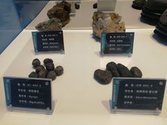 -金钉子远古世界景区