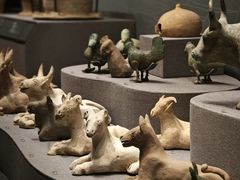 -广西壮族自治区博物馆