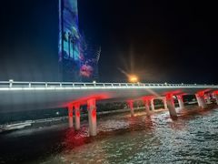 -演武大桥观景平台