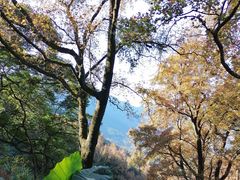 -广州市石门国家森林公园