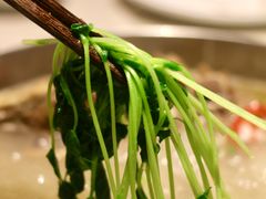 -浩爷羊蝎子火锅(望京店)