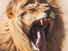 -宋记热干面馆(五福路店)