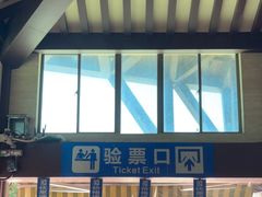 -广东惠东海龟国家级自然保护区