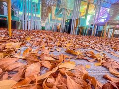 -香港狮子山下·明星粤菜餐厅(北苑店)