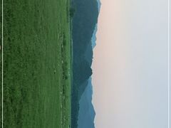 -罗坑大草原