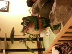 android_upload_pic-旅马餐厅(茅家埠店)