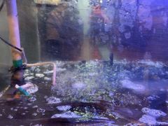 -鱼酷活鱼烤鱼(南京水游城店)