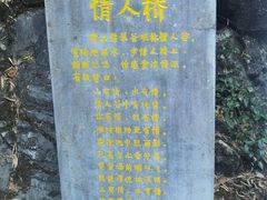 -黄山翡翠谷景区