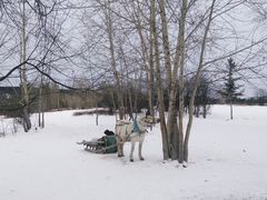 -北极村旅游风景区