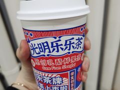 -LELECHA乐乐茶(新街口大洋店)
