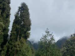 -九峰山