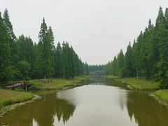 -黄海国家森林公园