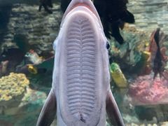 -秦皇岛新澳海底世界
