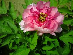 android_upload_pic-南戴河国际娱乐中心