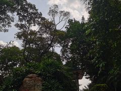 -广州市白云山风景名胜区