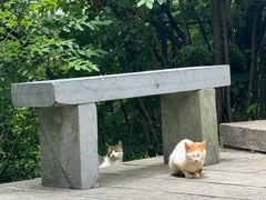 -敬亭山风景名胜区