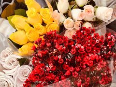 -循礼门鲜花花市(武汉循礼门店)