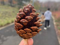 -南京枫彩漫城