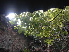 -吴道台府