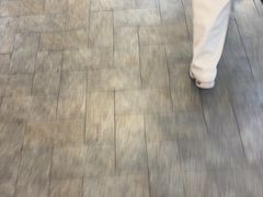 -小飞象面包公社(砂之船店)