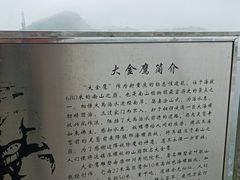 -大金鹰园