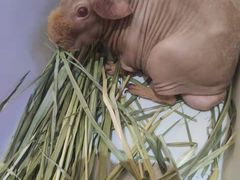 -鹏欣水游城