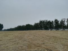 -汉长安城未央宫国家考古遗址公园