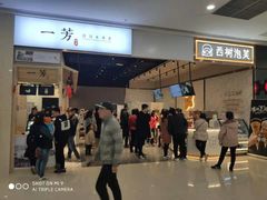 -西树泡芙(秦皇岛茂业天地店)
