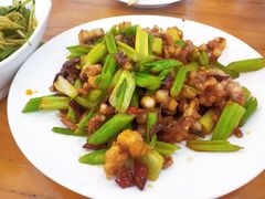 -小叶大馅饺子城