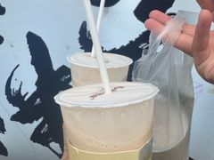 -猫的魔法密林(衣裳街店)