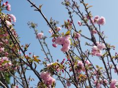 -观澜湖生态运动公社