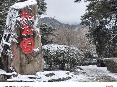 -香山公园
