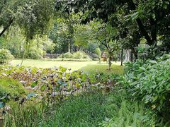 -怡海公园(桂城街道)