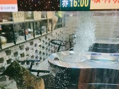 -食德喜·阳山鸡王食研基地