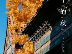 -故宫博物院(故宫)