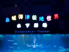 -泉城欧乐堡海洋极地世界