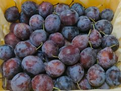 -山西路百货大楼